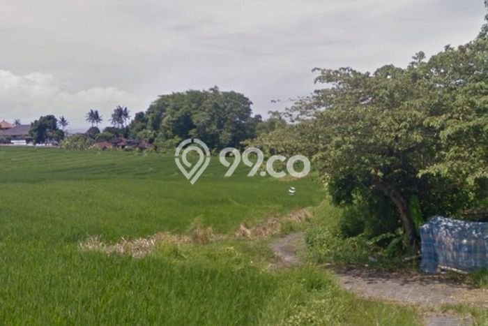 Kavling Tanah Dijual di Cemagi, Badung, Luas 213m2 Area Strategis Kavling Tanah Dijual di Cemagi, Badung, Luas 213m2 Area Strategis