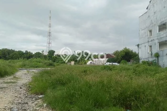 Tanah Disewa Strategis di Badung Luas 5500m2 Tanah Disewa Strategis di Badung Luas 5500m2