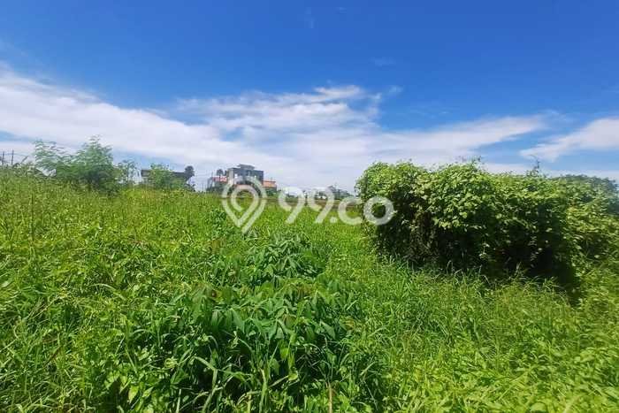 Untuk Dijual Tanah di Badung, Luas 213m2 SHM Untuk Dijual Tanah di Badung, Luas 213m2 SHM