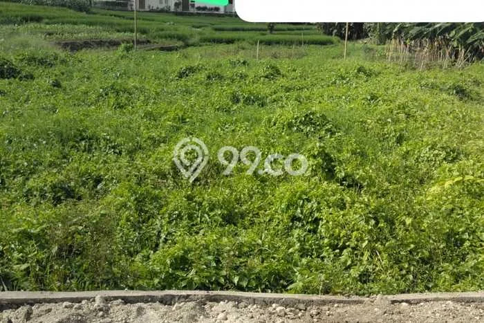 Tanah Dijual di Badung Seluas 13m2 Strategis Tanah Dijual di Badung Seluas 13m2 Strategis