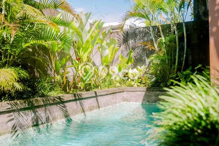 Vila di Ubud, Luas 0m2m², For Rent, Kawasan Asri Vila di Ubud, Luas 0m2m², For Rent, Kawasan Asri