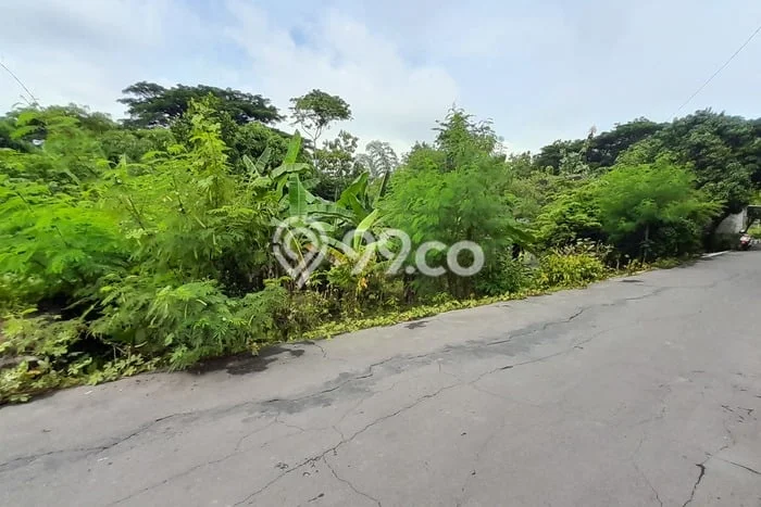 Dijual Tanah di Gondangrejo Karanganyar Luas 400m2 SHM Dijual Tanah di Gondangrejo Karanganyar Luas 400m2 SHM