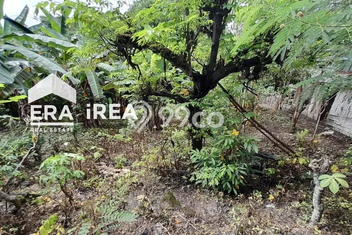 Kavling Tanah di Gondangrejo Dijual Luas 400m2 Legalitas SHM Kavling Tanah di Gondangrejo Dijual Luas 400m2 Legalitas SHM