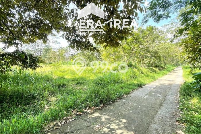 Lahan untuk Dijual Lokasi Mojosongo, Boyolali Luas 1967m2 SHM Lahan untuk Dijual Lokasi Mojosongo, Boyolali Luas 1967m2 SHM