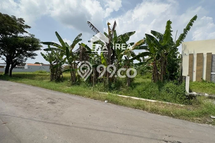 Tanah Dijual Lokasi Mojolaban, Sukoharjo Luas 285m2 Legalitas Aman Tanah Dijual Lokasi Mojolaban, Sukoharjo Luas 285m2 Legalitas Aman