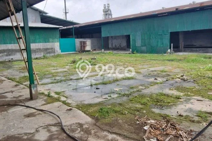 Gudang Disewakan Lokasi Plumbon Cirebon Harga Spesial! Gudang Disewakan Lokasi Plumbon Cirebon Harga Spesial!