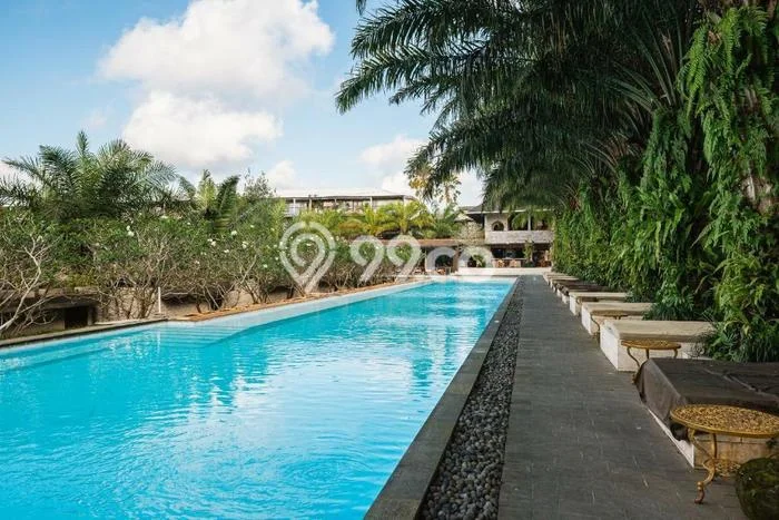 Dijual Cepat Apartemen High-Class di Tegallalang, Gianyar 1 Kamar Harga Rp 2,98 Miliar Dijual Cepat Apartemen High-Class di Tegallalang, Gianyar 1 Kamar Harga Rp 2,98 Miliar