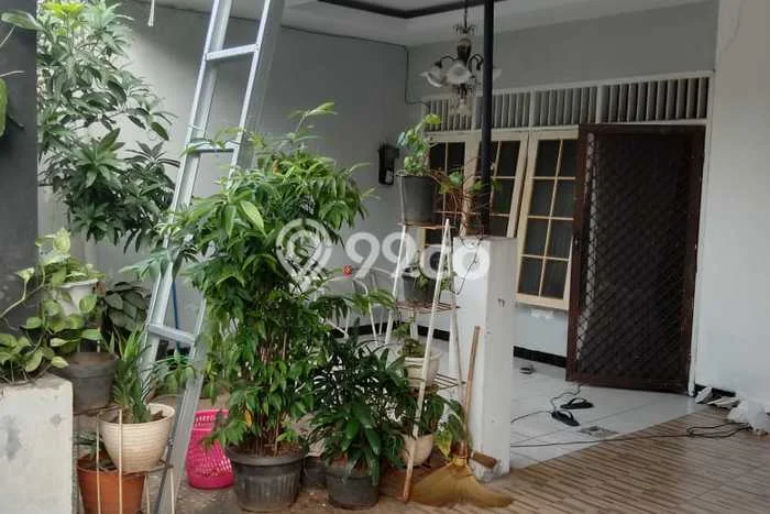 Rumah Luas Asri 3 KT Siap Huni di Bukit Duri Jakarta Selatan Rumah Luas Asri 3 KT Siap Huni di Bukit Duri Jakarta Selatan