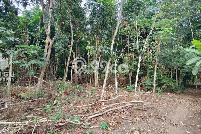 Tanah Kavling di Purwodadi Dijual dengan Luas 515m2 Tanah Kavling di Purwodadi Dijual dengan Luas 515m2