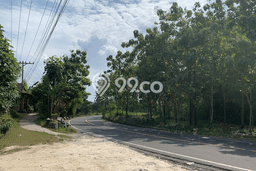 Tanah di Wonosari, Gunung Kidul Luas 1715m2 Dijual Segera Tanah di Wonosari, Gunung Kidul Luas 1715m2 Dijual Segera