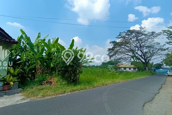 Tanah Kavling di Banguntapan Bantul Disewakan dengan Luas 10000m2 Tanah Kavling di Banguntapan Bantul Disewakan dengan Luas 10000m2