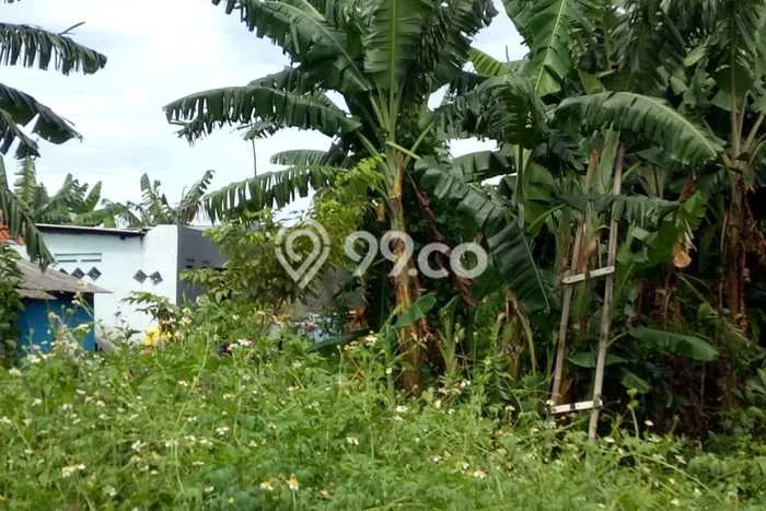 Tanah Lokasi Potensial Kawasan Pasar Kemis, Luas 278m², Dekat ke Pusat Kota, Lingkungan Asri Tanah Lokasi Potensial Kawasan Pasar Kemis, Luas 278m², Dekat ke Pusat Kota, Lingkungan Asri