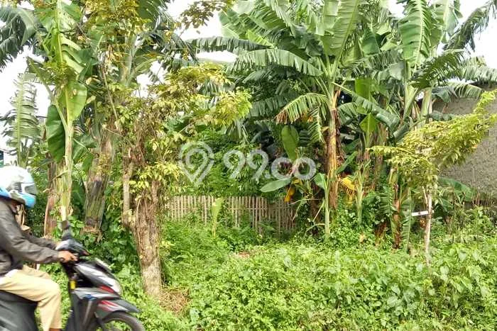 Tanah Lokasi Potensial Kawasan Pasar Kemis, Luas 278m², Dekat ke Pusat Kota, Lingkungan Asri Tanah Lokasi Potensial Kawasan Pasar Kemis, Luas 278m², Dekat ke Pusat Kota, Lingkungan Asri