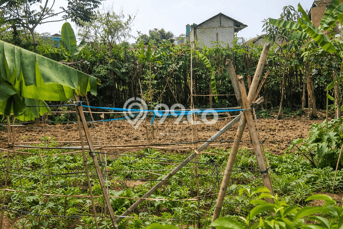 Lahan untuk Dijual Lokasi Katapang, Bandung Luas 280m2 AJB Lahan untuk Dijual Lokasi Katapang, Bandung Luas 280m2 AJB