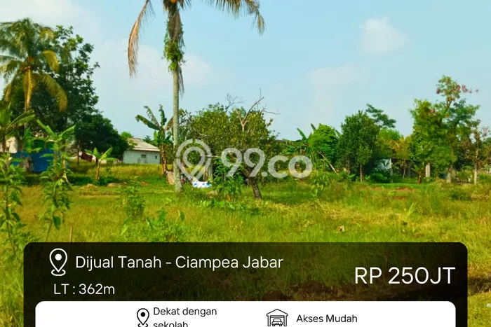 Dijual Tanah di Ciampea Bogor Luas 362m2 SHM Dijual Tanah di Ciampea Bogor Luas 362m2 SHM