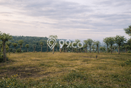 Lahan Investasi Lokasi Sumbawa Sumbawa - Lahan Investasi Lokasi Sumbawa Sumbawa -