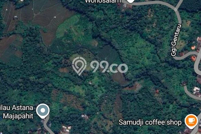 Tanah Dijual Lokasi Wonosalam, Jombang dengan Luas Tanah 5000m2 dan Status SHM Tanah Dijual Lokasi Wonosalam, Jombang dengan Luas Tanah 5000m2 dan Status SHM