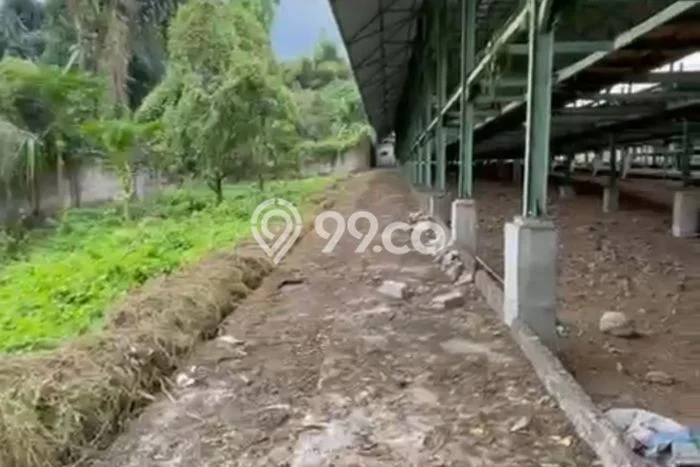 Tanah Dijual Lokasi Lingsar, Lombok Barat Luas 8200m2 Legalitas Aman Tanah Dijual Lokasi Lingsar, Lombok Barat Luas 8200m2 Legalitas Aman
