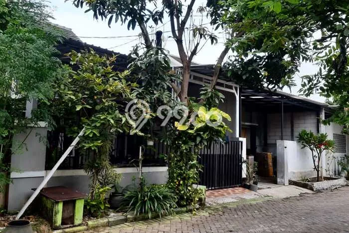 Jual Rumah Strategis Bagus Punya 3 KT di Candi Sidoarjo - Jual Rumah Strategis Bagus Punya 3 KT di Candi Sidoarjo -