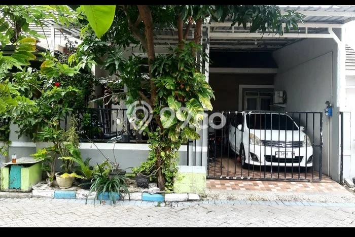 Jual Rumah Strategis Bagus Punya 3 KT di Candi Sidoarjo - Jual Rumah Strategis Bagus Punya 3 KT di Candi Sidoarjo -