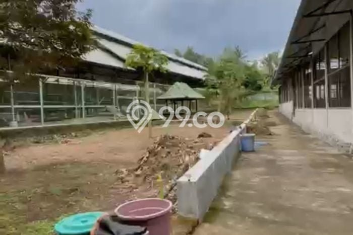 Tanah Dijual Lokasi Lingsar, Lombok Barat Luas 8200m2 Legalitas Aman Tanah Dijual Lokasi Lingsar, Lombok Barat Luas 8200m2 Legalitas Aman