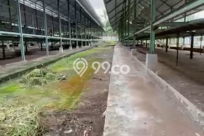 Tanah Dijual Lokasi Lingsar, Lombok Barat Luas 8200m2 Legalitas Aman Tanah Dijual Lokasi Lingsar, Lombok Barat Luas 8200m2 Legalitas Aman