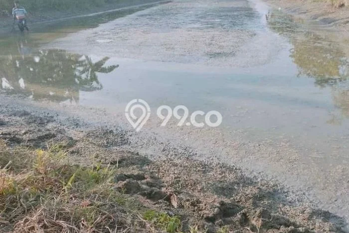 Lahan Strategis di Bungah Dijual dengan Luas 6969m2 Lahan Strategis di Bungah Dijual dengan Luas 6969m2