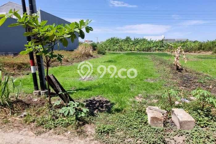 Kavling Tanah Dijual di Taman Sidoarjo Spesifikasi 150m2 Kavling Tanah Dijual di Taman Sidoarjo Spesifikasi 150m2