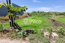 Kavling Tanah Dijual di Taman Sidoarjo Spesifikasi 150m2 Kavling Tanah Dijual di Taman Sidoarjo Spesifikasi 150m2