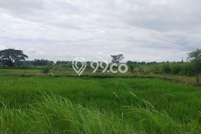 Untuk Dijual Tanah di Menganti Gresik Luas 72m2 - Untuk Dijual Tanah di Menganti Gresik Luas 72m2 -