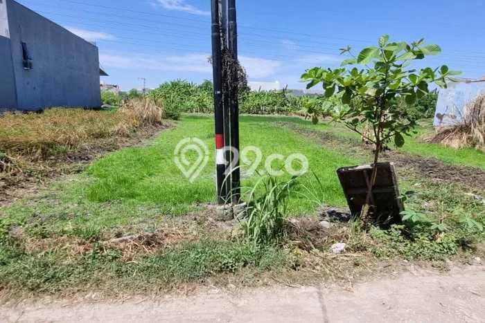 Kavling Tanah Dijual di Taman Sidoarjo Spesifikasi 150m2 Kavling Tanah Dijual di Taman Sidoarjo Spesifikasi 150m2