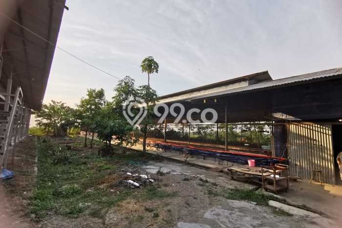 Lahan Investasi Lokasi Pacet Mojokerto SHM Lahan Investasi Lokasi Pacet Mojokerto SHM