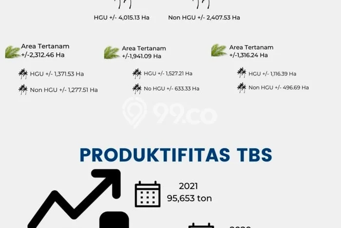 Tanah di Kubu, Kubu Raya Luas 256710m2 Dijual Segera Tanah di Kubu, Kubu Raya Luas 256710m2 Dijual Segera