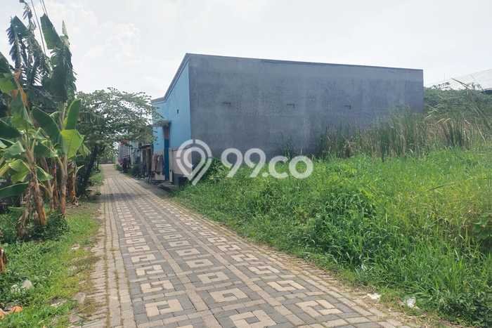 Tanah Dijual Lokasi Pakal, Surabaya Luas 84m2 Legalitas Aman Tanah Dijual Lokasi Pakal, Surabaya Luas 84m2 Legalitas Aman