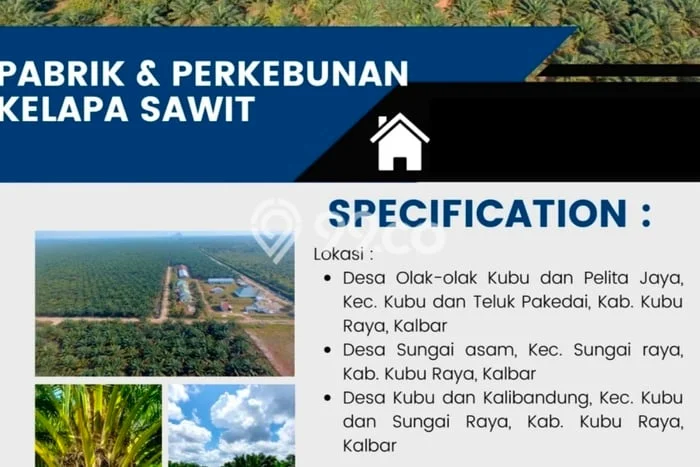 Tanah di Kubu, Kubu Raya Luas 256710m2 Dijual Segera Tanah di Kubu, Kubu Raya Luas 256710m2 Dijual Segera
