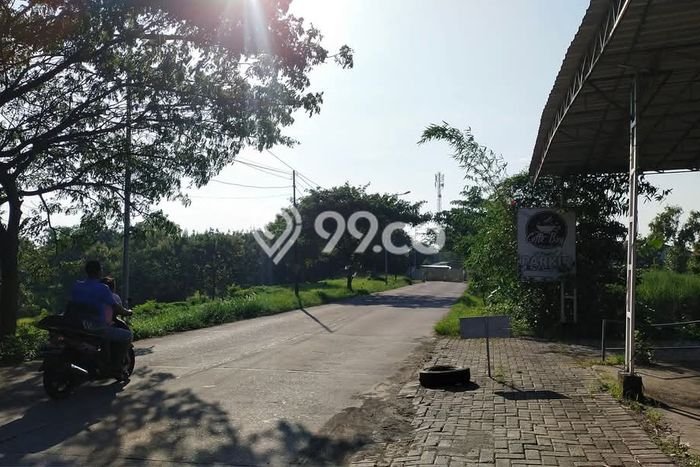 Dijual Tanah 1e+06m2 di Dawarblandong, Mojokerto Dijual Tanah 1e+06m2 di Dawarblandong, Mojokerto
