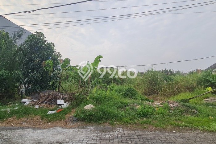 Tanah Dijual Lokasi Taman, Sidoarjo dengan Luas Tanah 500m2 dan Status SHM Tanah Dijual Lokasi Taman, Sidoarjo dengan Luas Tanah 500m2 dan Status SHM