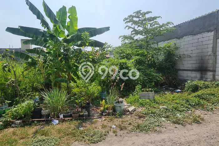 Untuk Dijual Tanah di Taman Sidoarjo Luas 100m2 - Untuk Dijual Tanah di Taman Sidoarjo Luas 100m2 -