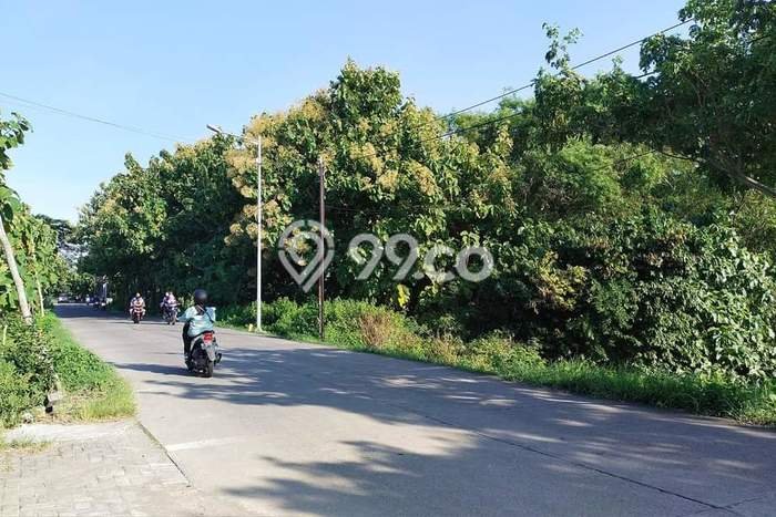 Dijual Tanah 1e+06m2 di Dawarblandong, Mojokerto Dijual Tanah 1e+06m2 di Dawarblandong, Mojokerto