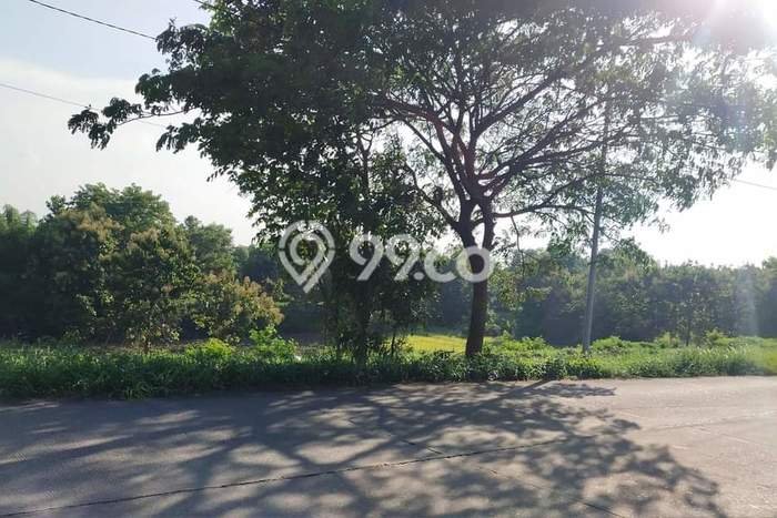 Dijual Tanah 1e+06m2 di Dawarblandong, Mojokerto Dijual Tanah 1e+06m2 di Dawarblandong, Mojokerto
