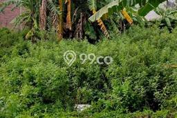 Lahan Strategis di Sidoarjo Dijual dengan Luas 200m2 Lahan Strategis di Sidoarjo Dijual dengan Luas 200m2