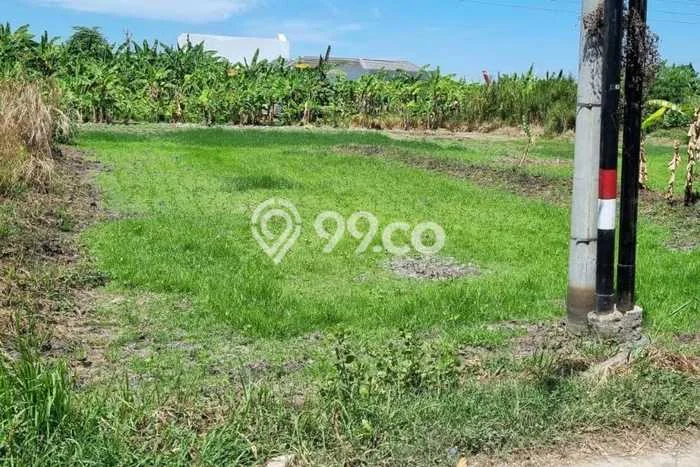 Kavling Tanah Dijual di Taman Sidoarjo Spesifikasi 150m2 Kavling Tanah Dijual di Taman Sidoarjo Spesifikasi 150m2