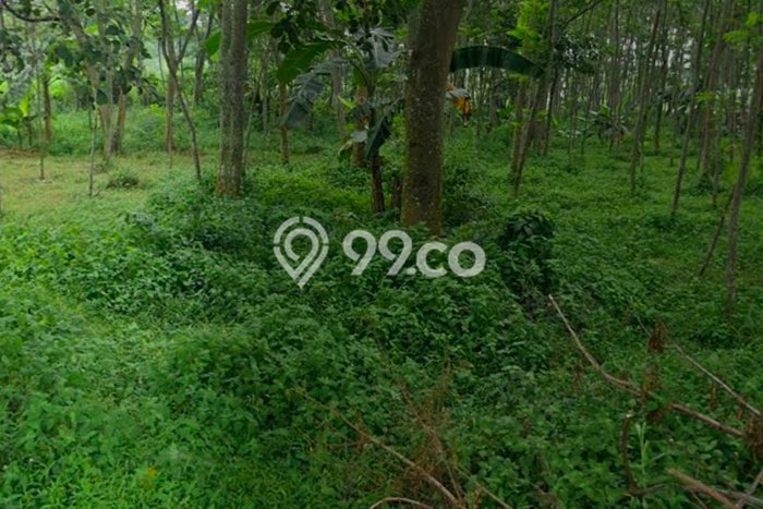Tanah di Prigen, Pasuruan Luas 3500m2 Dijual Segera Tanah di Prigen, Pasuruan Luas 3500m2 Dijual Segera