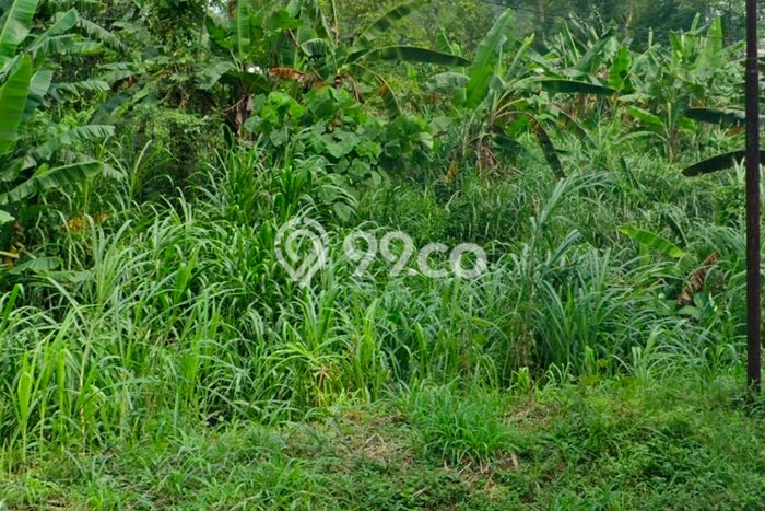 Tanah untuk Dijual Lokasi Prigen, Pasuruan Luas 1900m2 SHM Tanah untuk Dijual Lokasi Prigen, Pasuruan Luas 1900m2 SHM
