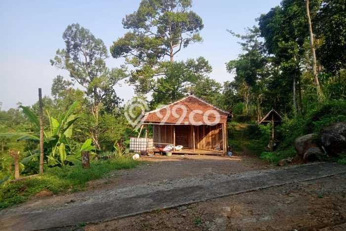 Kavling Tanah di Purwosari Dijual Luas 15000m2 Legalitas SHM Kavling Tanah di Purwosari Dijual Luas 15000m2 Legalitas SHM