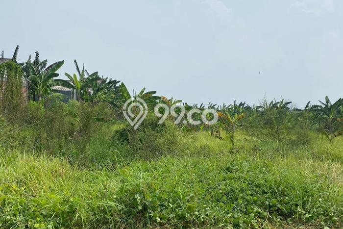 Tanah Komersial Dijual di Pakal Surabaya 180m2 Tanah Komersial Dijual di Pakal Surabaya 180m2