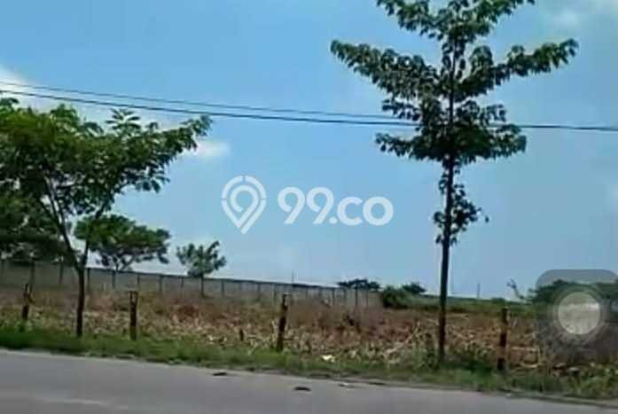 Tanah Kosong Dijual di Tuban dengan Area 40000m2 Tanah Kosong Dijual di Tuban dengan Area 40000m2