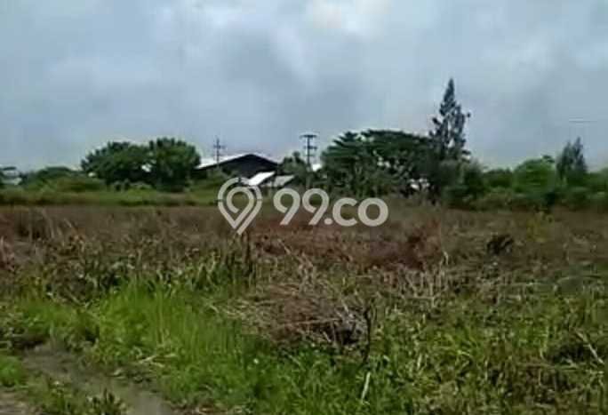 Tanah Kosong Dijual di Tuban dengan Area 40000m2 Tanah Kosong Dijual di Tuban dengan Area 40000m2