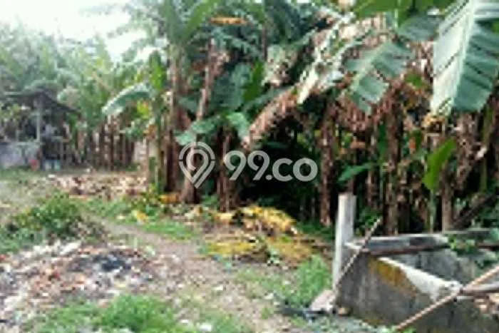 Tanah Disewa di Kerobokan Strategis dan Memiliki Luas 600m2 Tanah Disewa di Kerobokan Strategis dan Memiliki Luas 600m2