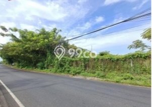 Kavling Tanah di Kuta Selatan Dijual Luas 1465m2 Legalitas - Kavling Tanah di Kuta Selatan Dijual Luas 1465m2 Legalitas -